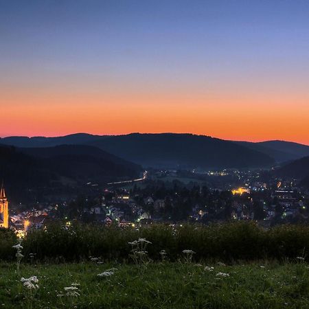 Drei Tannen - Wohnung 04 - Apartmenthaus, Titisee, Nahe Badeparadies Εξωτερικό φωτογραφία