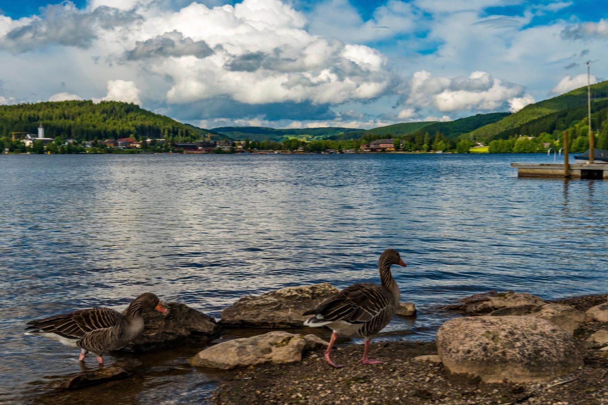 Drei Tannen - Wohnung 04 - Apartmenthaus, Titisee, Nahe Badeparadies Εξωτερικό φωτογραφία