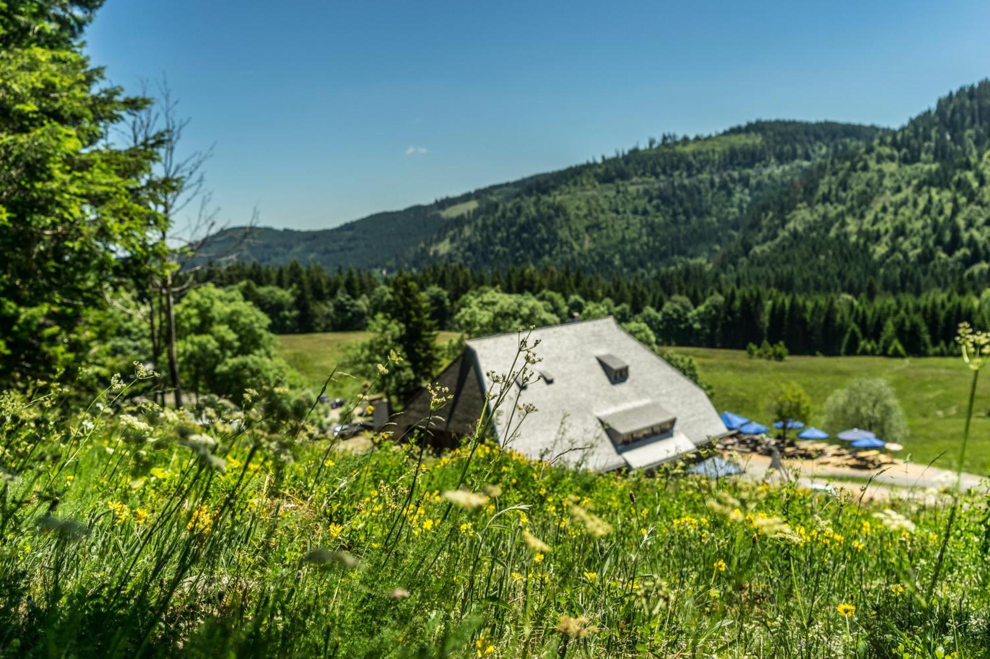 Drei Tannen - Wohnung 04 - Apartmenthaus, Titisee, Nahe Badeparadies Εξωτερικό φωτογραφία