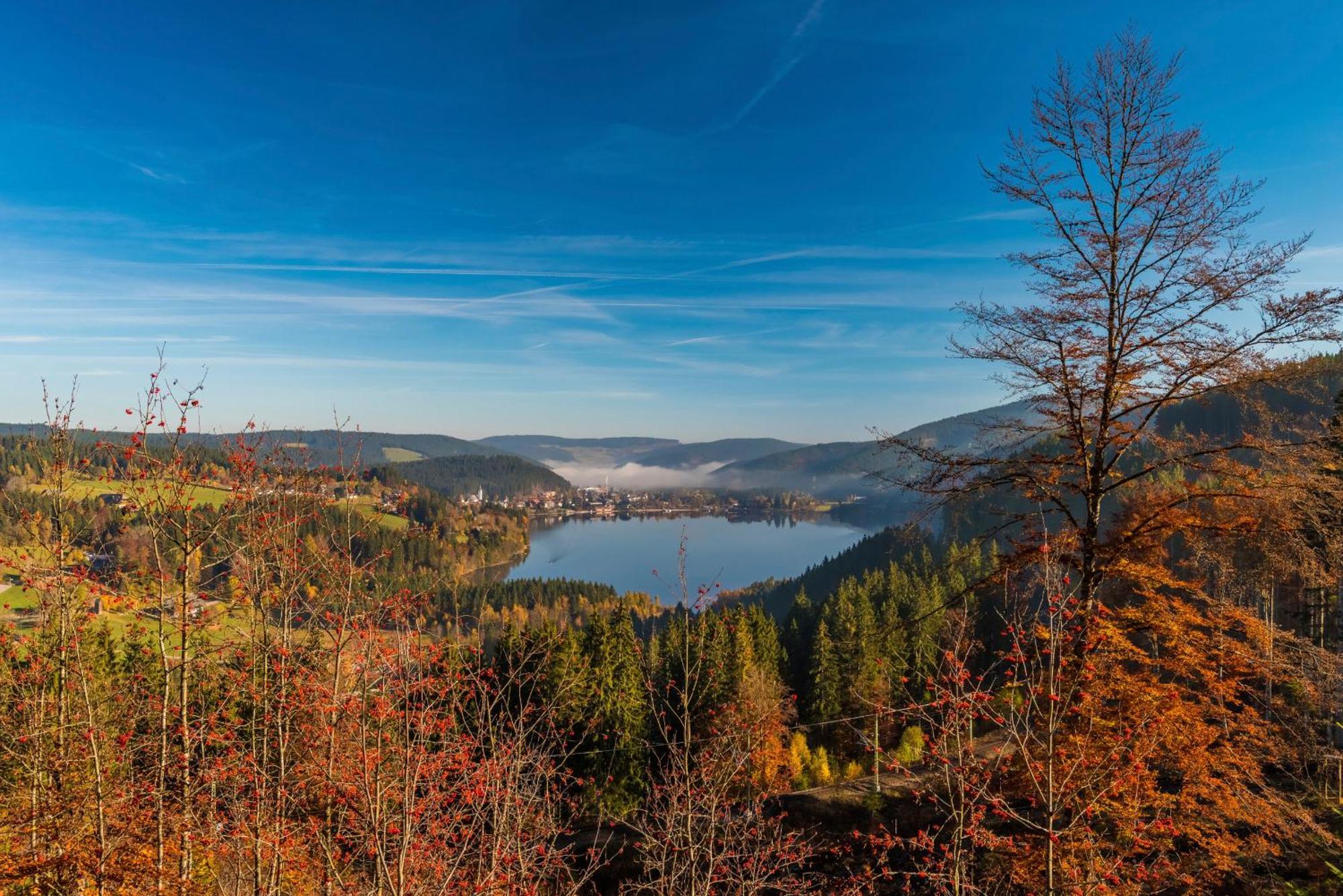Drei Tannen - Wohnung 04 - Apartmenthaus, Titisee, Nahe Badeparadies Εξωτερικό φωτογραφία