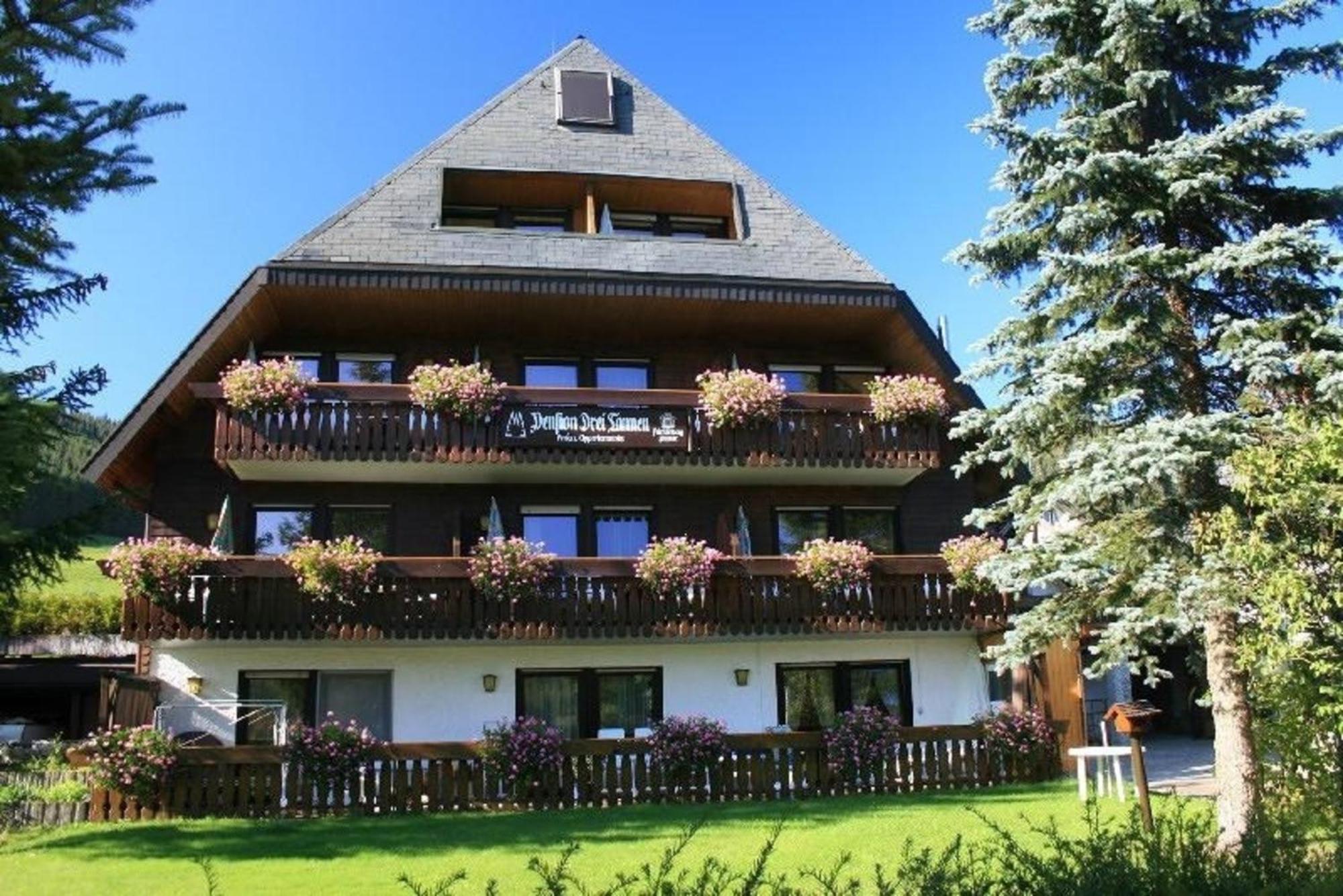Drei Tannen - Wohnung 04 - Apartmenthaus, Titisee, Nahe Badeparadies Εξωτερικό φωτογραφία
